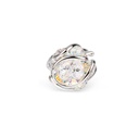 Andrea Marazzini - Ninfea Aurora Boreale