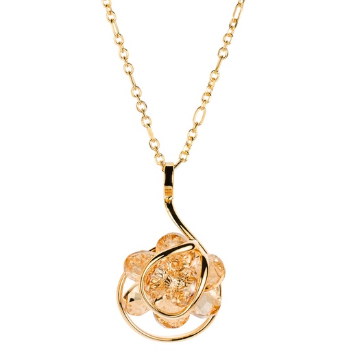 [GONINGSCDI] Andrea Marazzini - Ninfea Golden Shadow