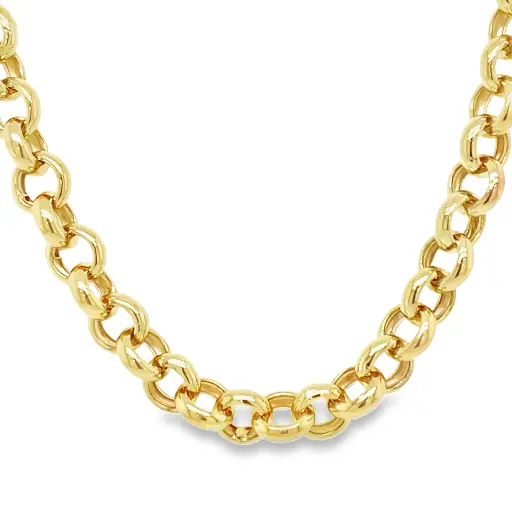 [GC0239] Geelgouden Jasseron collier