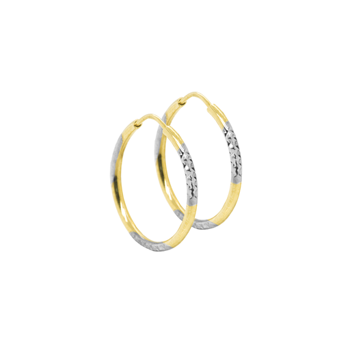 [GOR1046] Bicolor gouden oorringen Fantasie