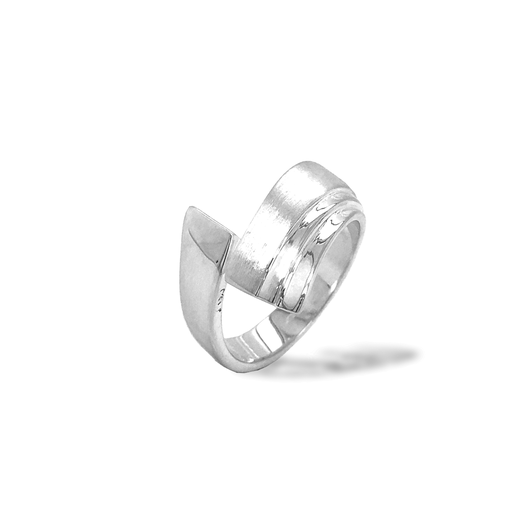 [ZR2017] Zilveren ring Fantasie Mat/Glans