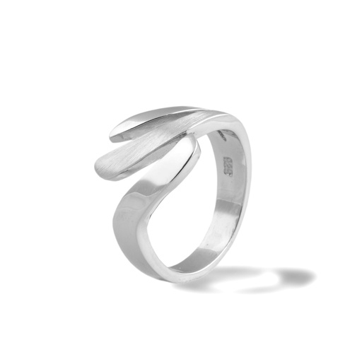[ZR2018] Zilveren ring Fantasie Mat/Glans